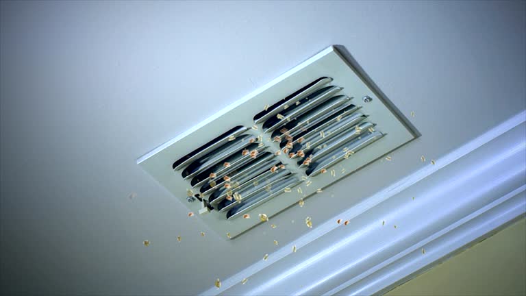 Best Affordable HVAC Duct Cleaning  in Red Lake, AZ