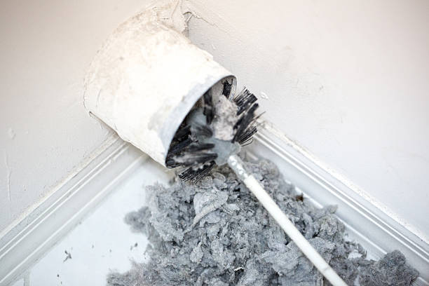 Best Air Duct Cleaning Near Me  in Red Lake, AZ